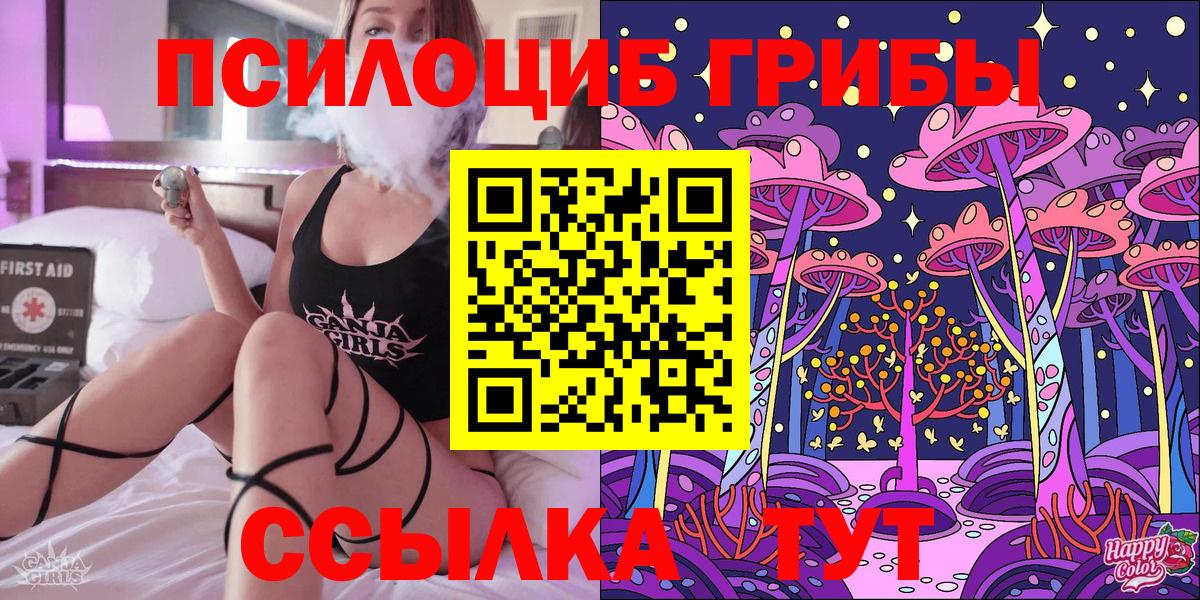 Тобольск  Псилоцибиновые грибы Psilocybe  Вход с VPN 